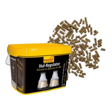 "Huf-Regulator" Régulateur de sabot