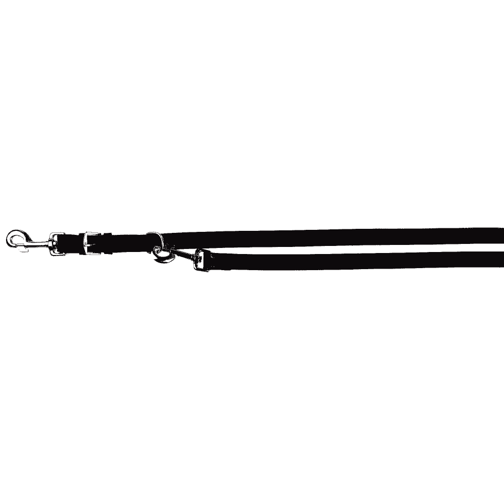 Active extension leash