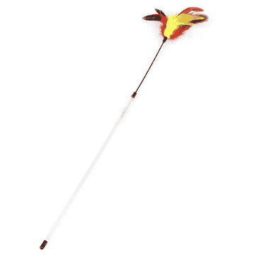 Feather duster Lulu