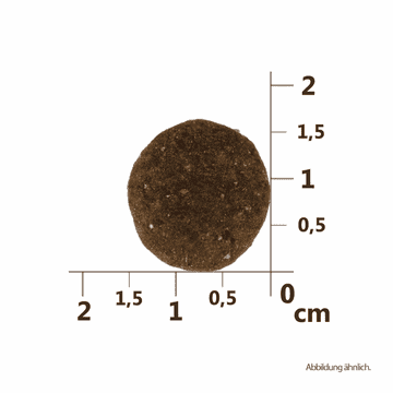 Dog Adult True Fresh - Frisches Rind
