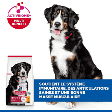 Canine Adult Large Breed Chicken