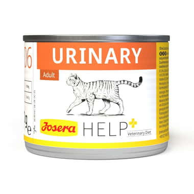 Urinary Cat Wet