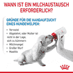 Babydog Milk