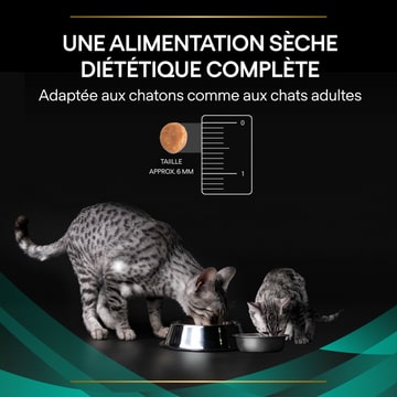 FELINE EN St/Ox Gastrointestinal