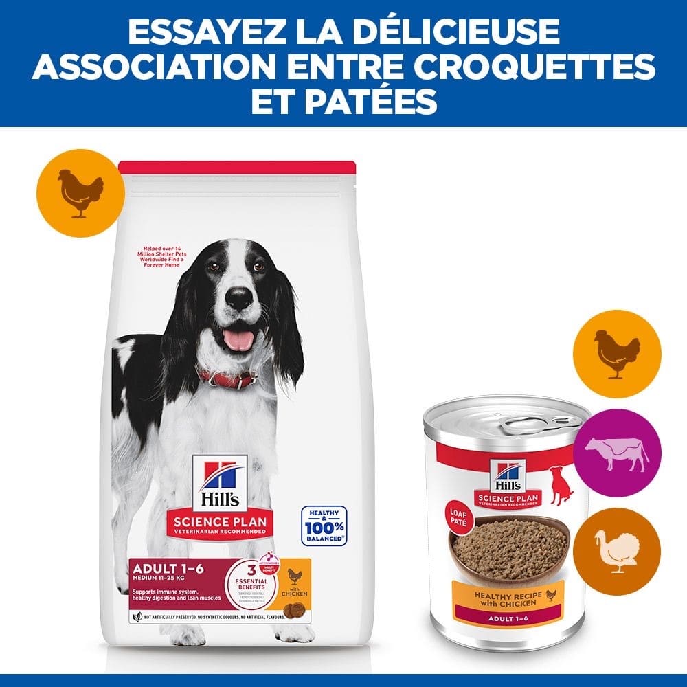 Canine Adult Chicken - Boîte