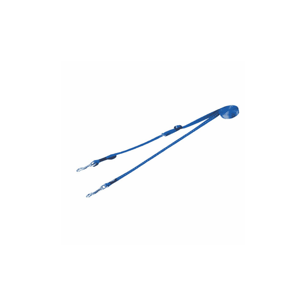 Double leash Control blue