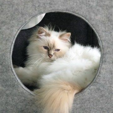 Nala felt play cube