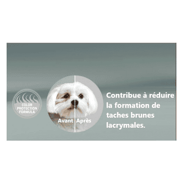 Canine Adult Mini Bar, Fenouil & Spiruline