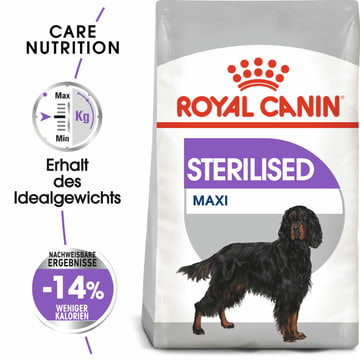 Sterilised Maxi