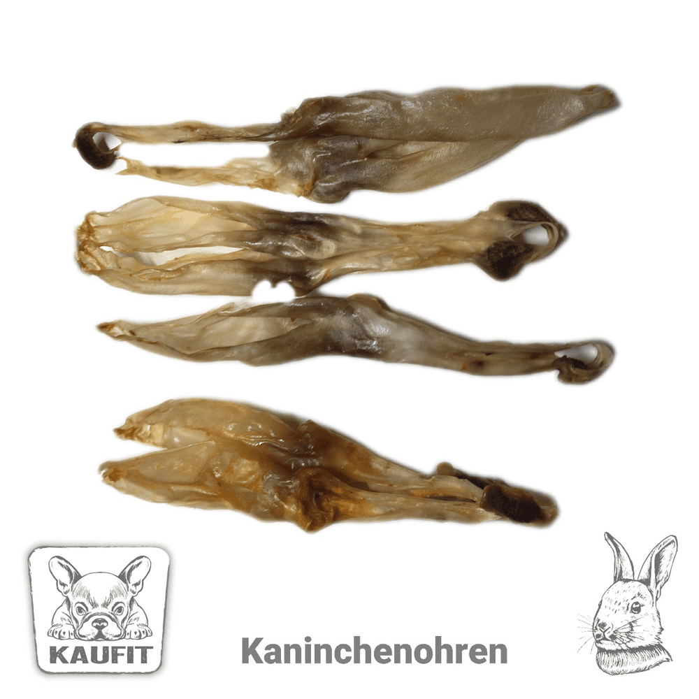 Kaninchenohren