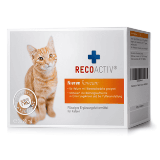 Tonic rénal pour chats