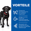 Canine Perfect Weight + Active Mobility Large Breed