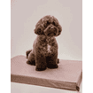 Matelas orthopédique pour chiens Chill Dusty Rose