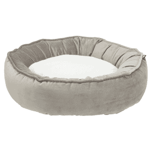 Bett Livia