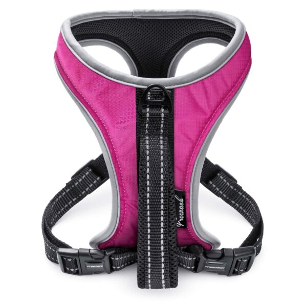 Geschirr Sport Soi Uni pink