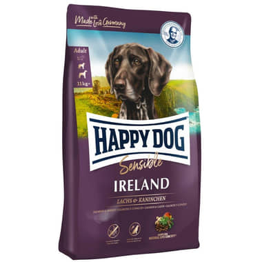 Sensible Irland