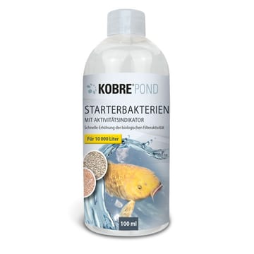 Starter bacteria