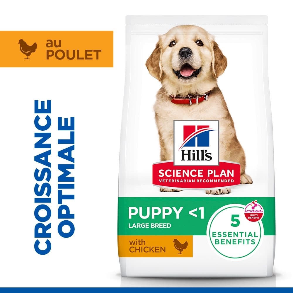Puppy Large Breed