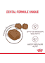 Oral  Care