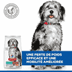 Canine Perfect Weight + Active Mobility Medium Breed