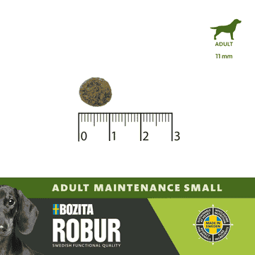 Dog Robur Adult Maintenance Mini