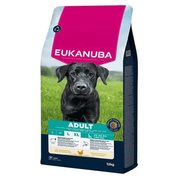 Active Adult Large & Giant Breed