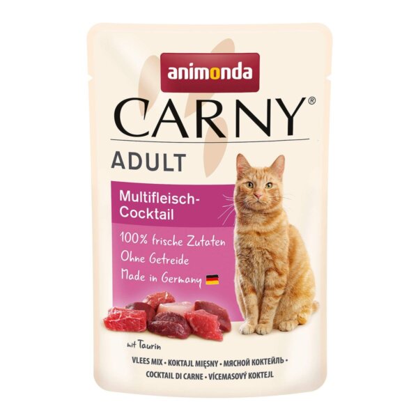 Carny Adult Cat