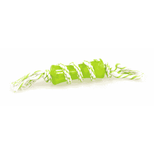 jouet pour chiens Mintline