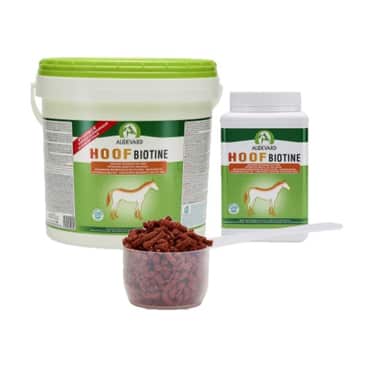 Hoof Biotine