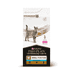 FELINE NF Renal Function Advanced Care