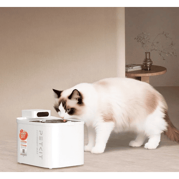 Eversweet Max 2 Drinking Fountain