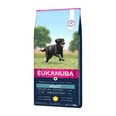 Active Adult Large & Giant Breed