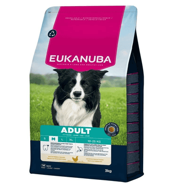 Active Adult Medium Breed