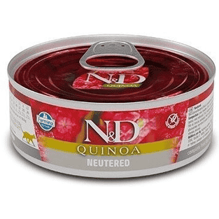 Feline Adult Neutered Schwein