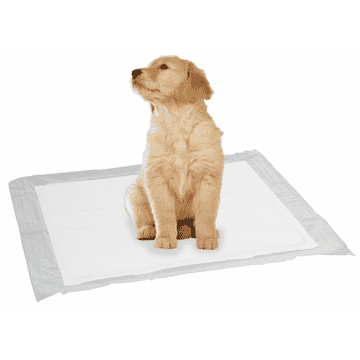 Puppy Pads