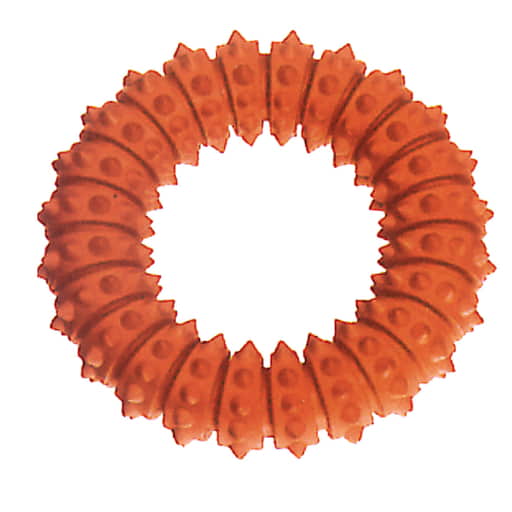 swisspet Boomer Aqua Ring, d = 12.5cm, orange
