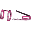 Harness &amp; leashes for cats Reflect Fish XS
