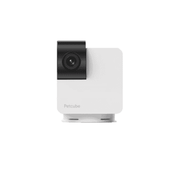 Cam 360 Haustierkamera