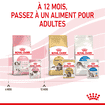 Kitten en sauce - sachet