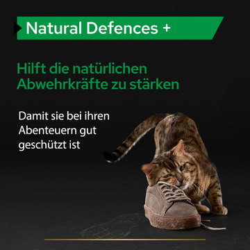 Cat Natural Defences +