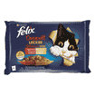 Aussi bon que beau Délicieux Duos 4x85g