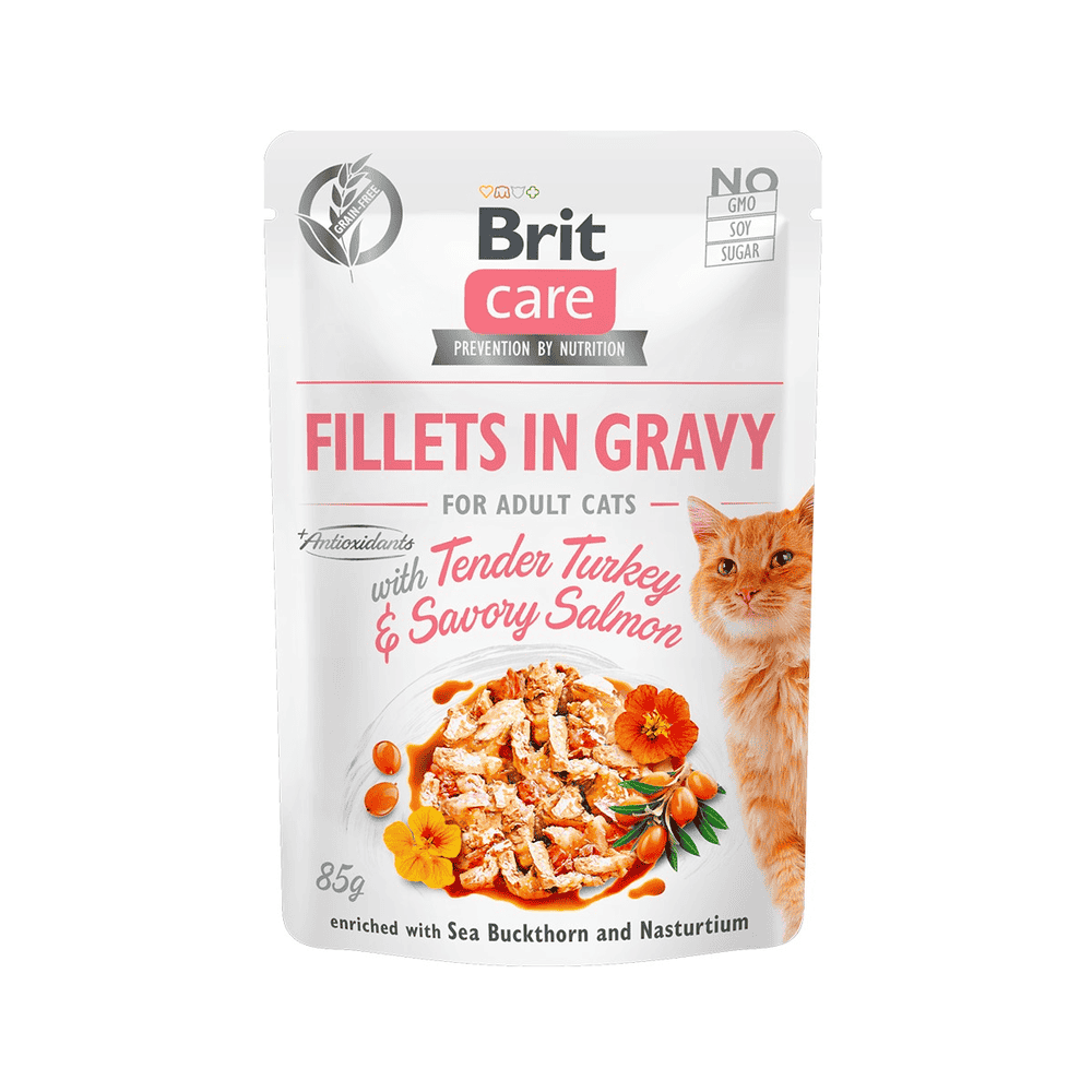 Care Cat - Fillets in Gravy with Tender Turkey & Savory Salmon