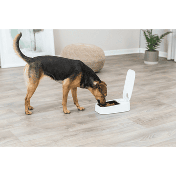 Distributeur automatique de nourriture TX1