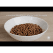 Canine Adult Sensitive Stomach & Skin Small & Mini Breed