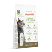 Cat Litter
