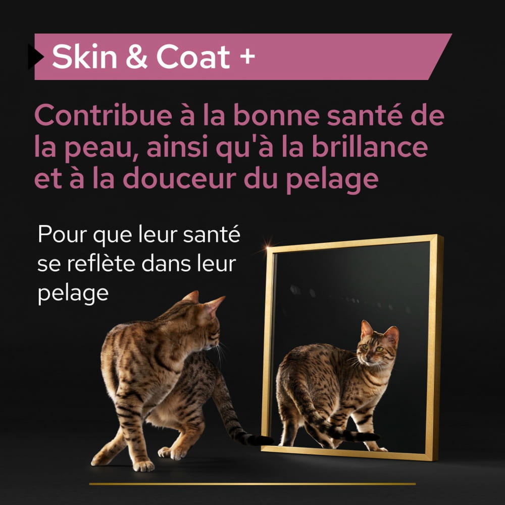 Cat Skin & Coat +