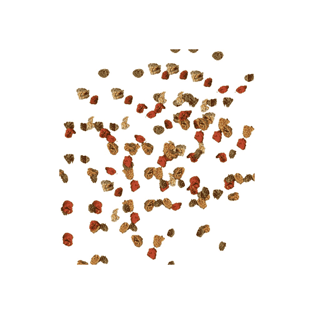 TetraMin Granules