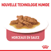 Indoor Cat 7+ en sachet