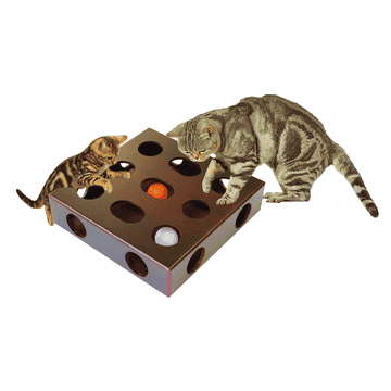 Box de jeu avec balle pour chats