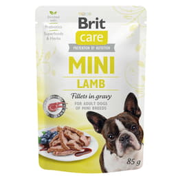 Care Mini Lamb